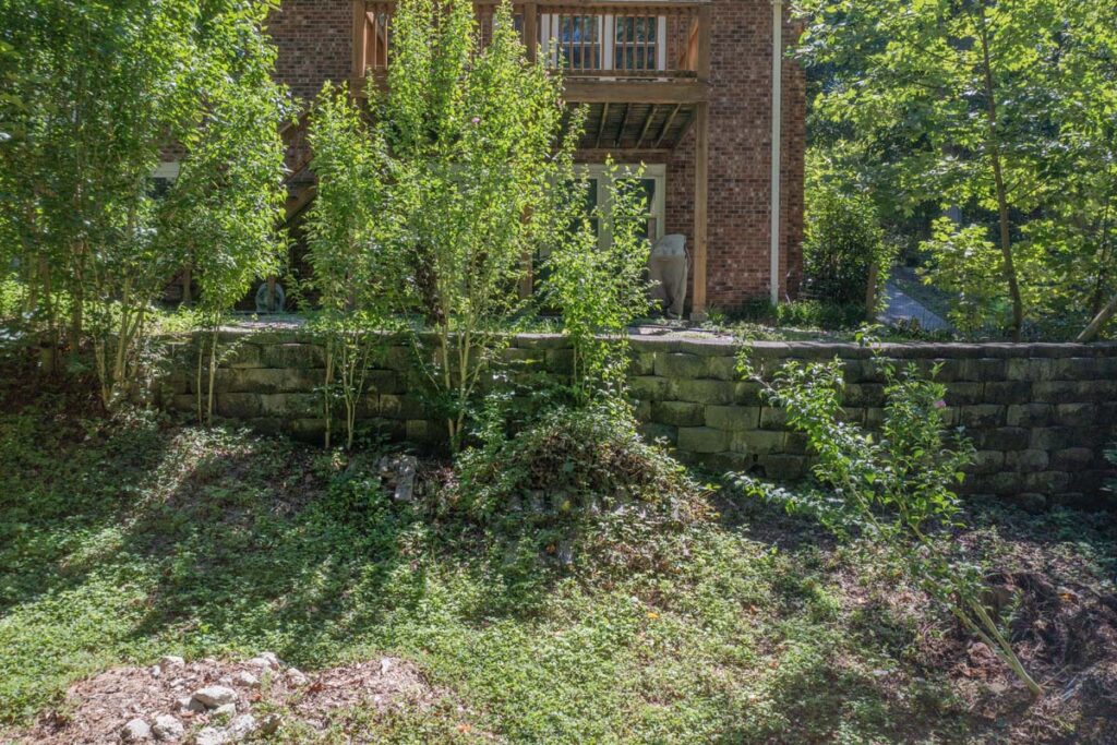 Close up of initial retaining wall of Rushing Brook with overgrown trees and shrubs.